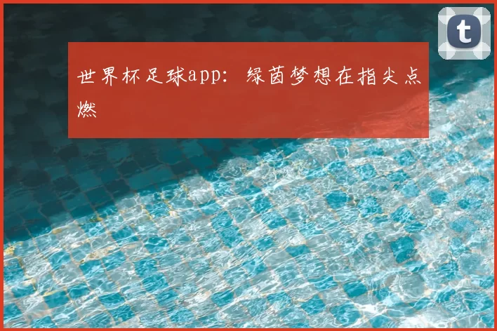 世界杯足球app：绿茵梦想在指尖点燃