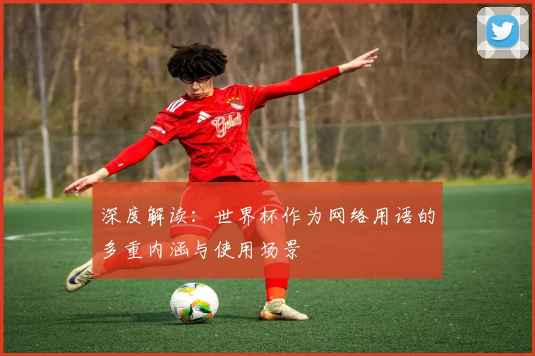 深度解读:世界杯作为网络用语的多重内涵与使用场景