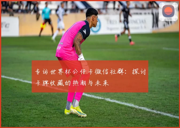 专访世界杯公仔卡微信社群:探讨卡牌收藏的热潮与未来