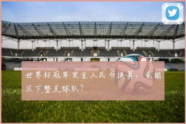 世界杯冠军奖金人民币换算,竟能买下整支球队?