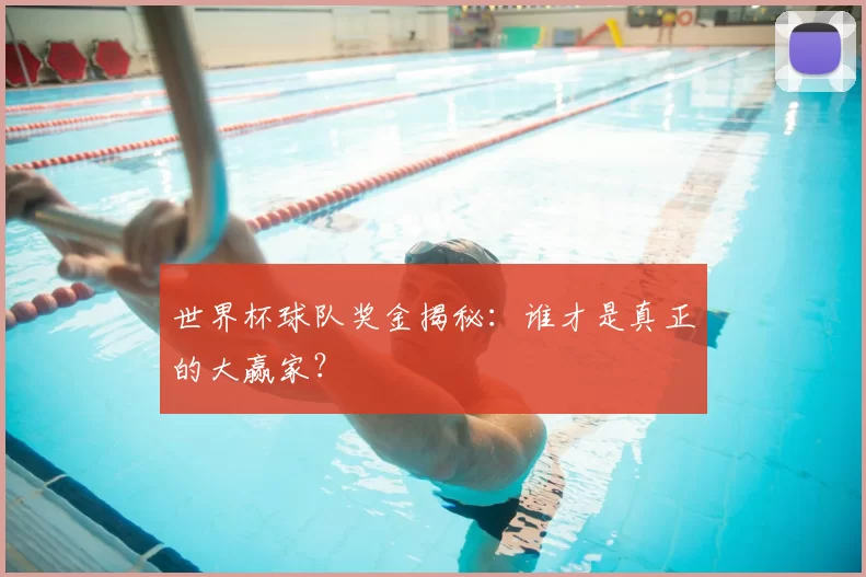 世界杯球队奖金揭秘：谁才是真正的大赢家？