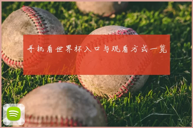 手机看世界杯入口与观看方式一览