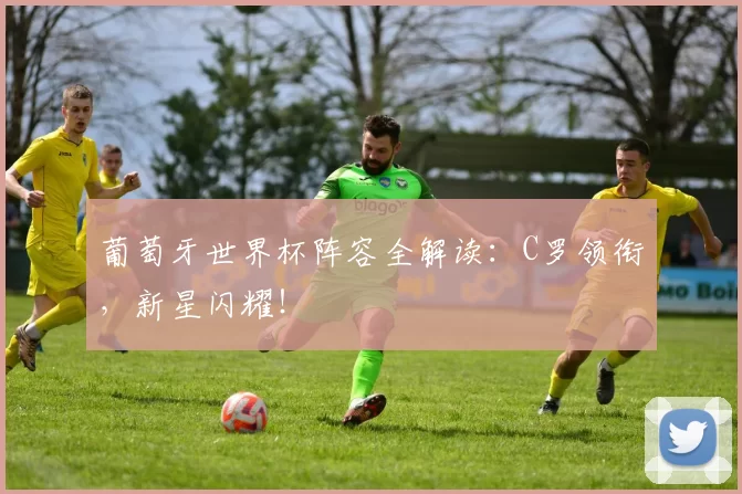 葡萄牙世界杯阵容全解读:C罗领衔,新星闪耀!
