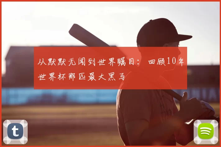 从默默无闻到世界瞩目:回顾10年世界杯那匹最大黑马
